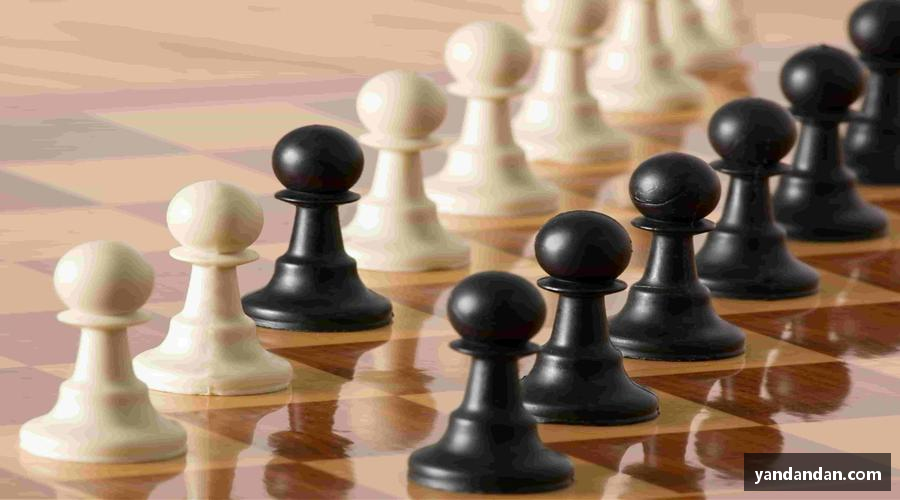 333体育官网app下载👕 限量周边，穿上它，你就是赛场最靓的崽！